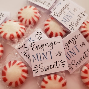 25 Engagement Party Favors - Engage-MINT is Sweet Party Favors - Custom Engagement Party Favors - Save the Date Announcement Candy