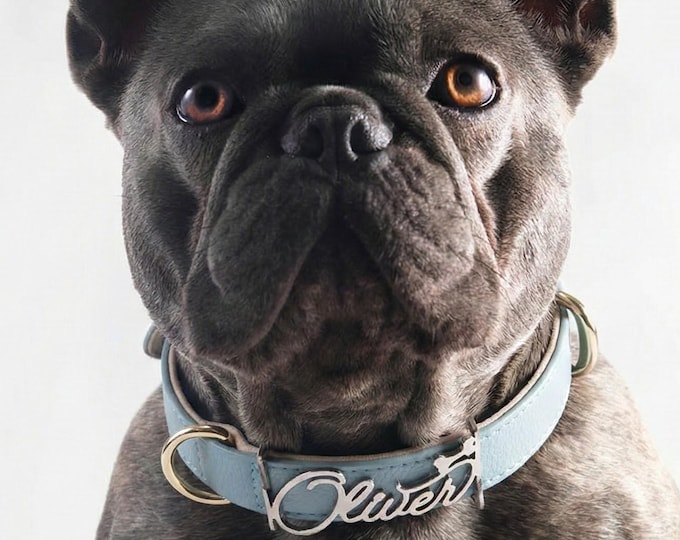 Personalized Dog Collar with Custom Name Buckle for Pet Lovers Adjustable Leather Cat Collar Cursive Cutout Name Gift for Pet Lovers