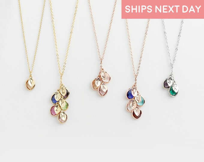 Personalised Rings necklace for women customised engraved rings birthstone necklace,Gift For Mom,Gift For Grandma,Anniversary Gift for Wife
