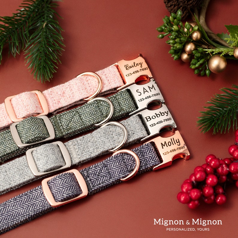 May include: Four personalized dog collars with rose gold hardware. The collars are in different colors and patterns, including pink, green, gray, and black. Each collar has a metal tag with a name and phone number engraved on it. The collars are arranged on a red background with red berries and green foliage.