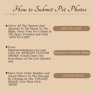 Instructions for submitting pet photos on Etsy: choose options, add pet’s name, click 'Add to Cart'; select 'Request Custom Order' on the site menu; attach photos with order number using 'Upload Image' and click 'Send.