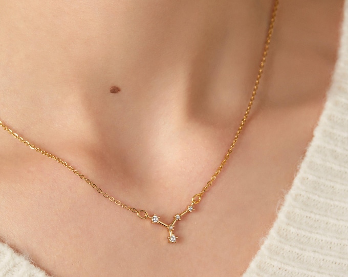 Personalized Zodiac Necklace for Women Personalized Jewelry  Astrology Birthday Gift The Sagittarius Star Sign Celestial Zodiac Jewelry