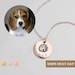 Dog Memorial Gift Pet Personalized Gifts for Her Pet Memorial Necklace for Dog Mom Cat Dad Pet Charm Remembrance Jewelry for Women -LCN-AP 