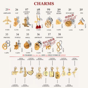 May include: A chart of 38 different charms for jewelry making. The charms are made of gold and silver and feature various designs, including a plane, a cat, a cowboy boot, a red rose, a tree of life, a heart, a sun and moon, a fin, a pretzel, a turtle, a shell, an abstract design, an elephant, and an infinity symbol. The chart also includes information about the size of each charm in inches.