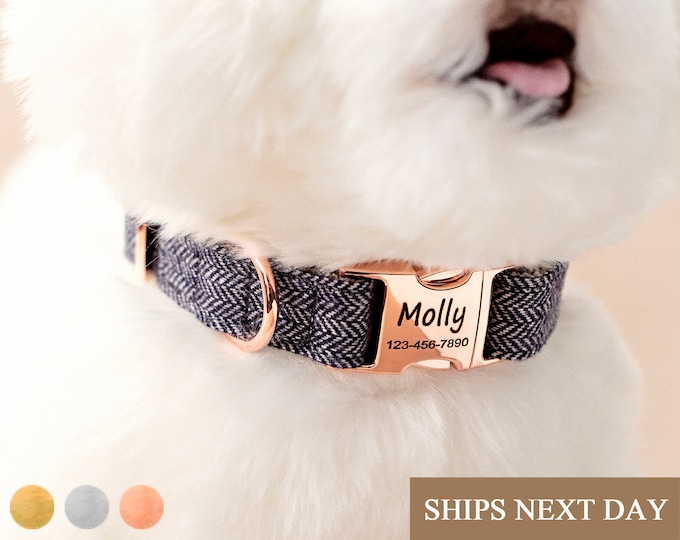 Personalized Custom Dog Collar  Pet Gift for Dog Tag Necklace Cat Collar with Name Engraved Puppy Collar Boy Girl Dog Collar