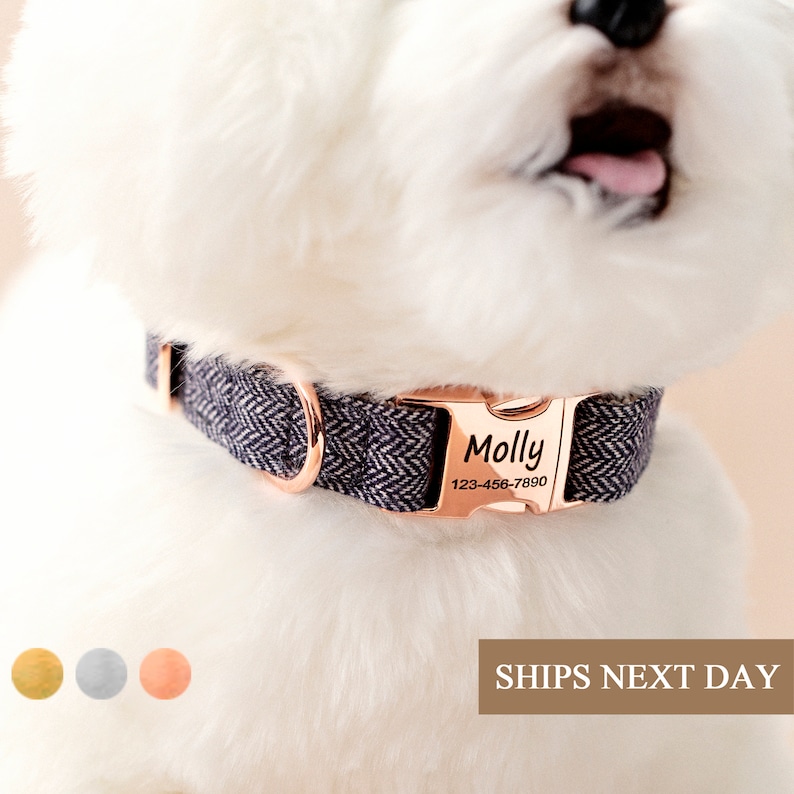 Custom Dog Collar Personalized Pet Gift for Dog Tag Necklace Cat Collar with Name Engraved Puppy Collar Boy Girl Martingale Dog Collar