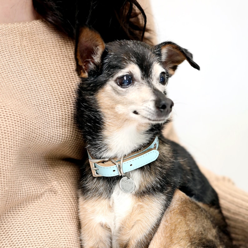 Dog Gift Personalized Dog Tag Pet Custom Collar Tag Dog ID Tag Cat Collar Personalized Pet Necklace LCT