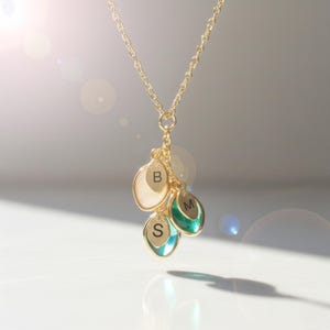 Personalized Birthstone Necklace for Mom, Custom Initial Jewelry, Birthstone Jewelry for Mom, Family Keepsake Gift for Grandma