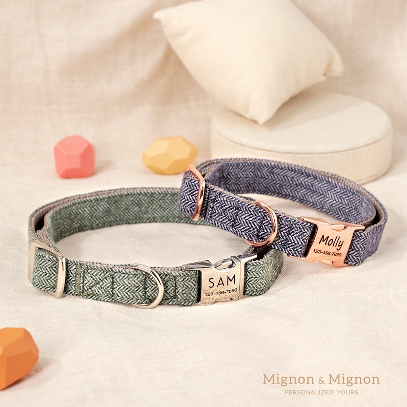 May include: Two personalized dog collars with a herringbone pattern. The green collar has the name "SAM" and phone number "123-456-7890" engraved on the buckle. The blue collar has the name "Molly" and phone number "123-456-7890" engraved on the buckle.