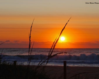 View from the Sand Dunes