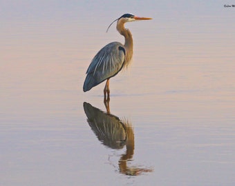 Serenity at Sunrise