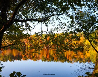 A Window to Fall