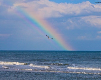 Flight Through a Rainbow