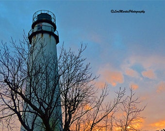 May include: A white lighthouse with a black roof and a black railing stands tall against a blue sky with pink clouds. The lighthouse is surrounded by bare branches of a tree.