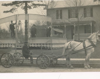 1900's Horse and Grand Stand RPPC