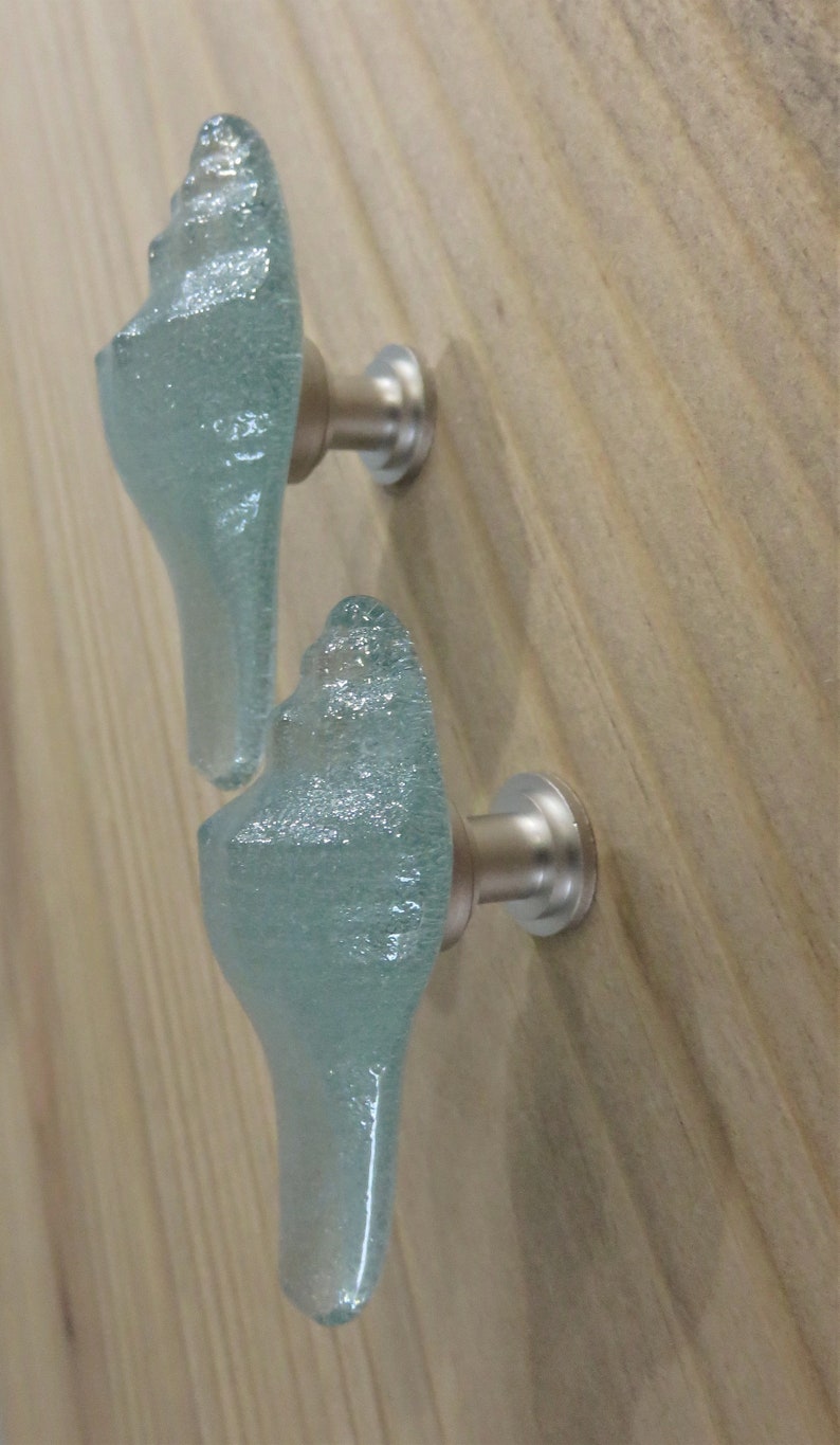 Glass Shell Knobs. Glass Conch Shell Hardware. Etsy