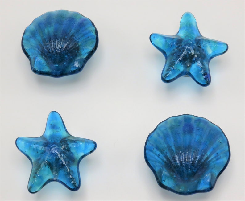 Sea Shell Knob Beach Theme Knob & Pull Beach House Decor Etsy