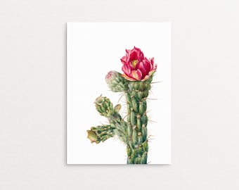 Cactus decor, Cactus printable set, Pastel cactus art, Botanical print, Watercolor wall, Succulent, Prickly Pear, Boho decor, Nursery