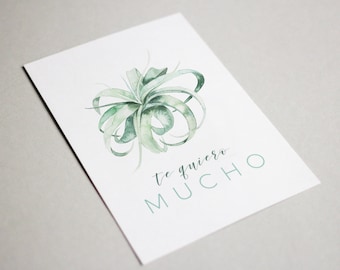 Printable Te Quiero Mucho Greeting Card in Spanish Watercolor Air Plant Romantic Anniversary