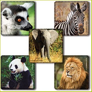 Tiere Sticker x 15 - GeburtstagSparty - Umschlag Siegel, Party-Favoriten, Belohnungstabellen für Eltern, Verdienst-Auszeichnungen Lehrer - Löwe Zebra Panda