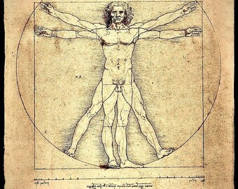 Vitruvian Man art of Leonardo Da Vinci