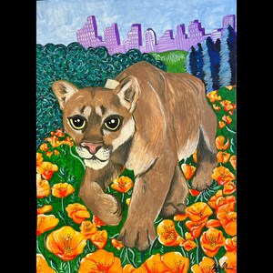 P-22 Canvas Print