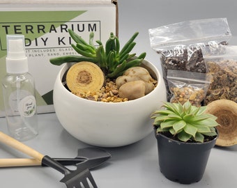 Succulent Terrarium Kit | DIY Terrarium | Desktop plants | Cottage core decor | Gifts | Office decor