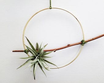 Minimal Hoop Air Plant Wall hanging Boho Decor | Bohemian Designs | Minimalist Art