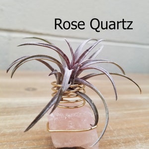 Boho Decor Amethyst Air Plant Holder Crystal Geode Air Plant Holder Boho Decor air plant Best Friend Gift Desk Accessories image 3