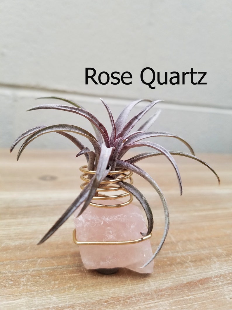 Boho Decor Amethyst Air Plant Holder Crystal Geode Air Plant Holder Boho Decor air plant Best Friend Gift Desk Accessories image 3