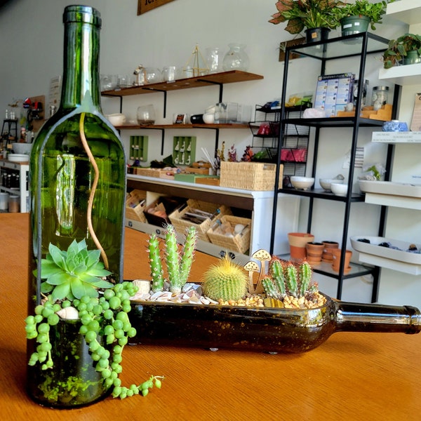 Wine Bottle Succulent Terrarium | DIY Terrarium