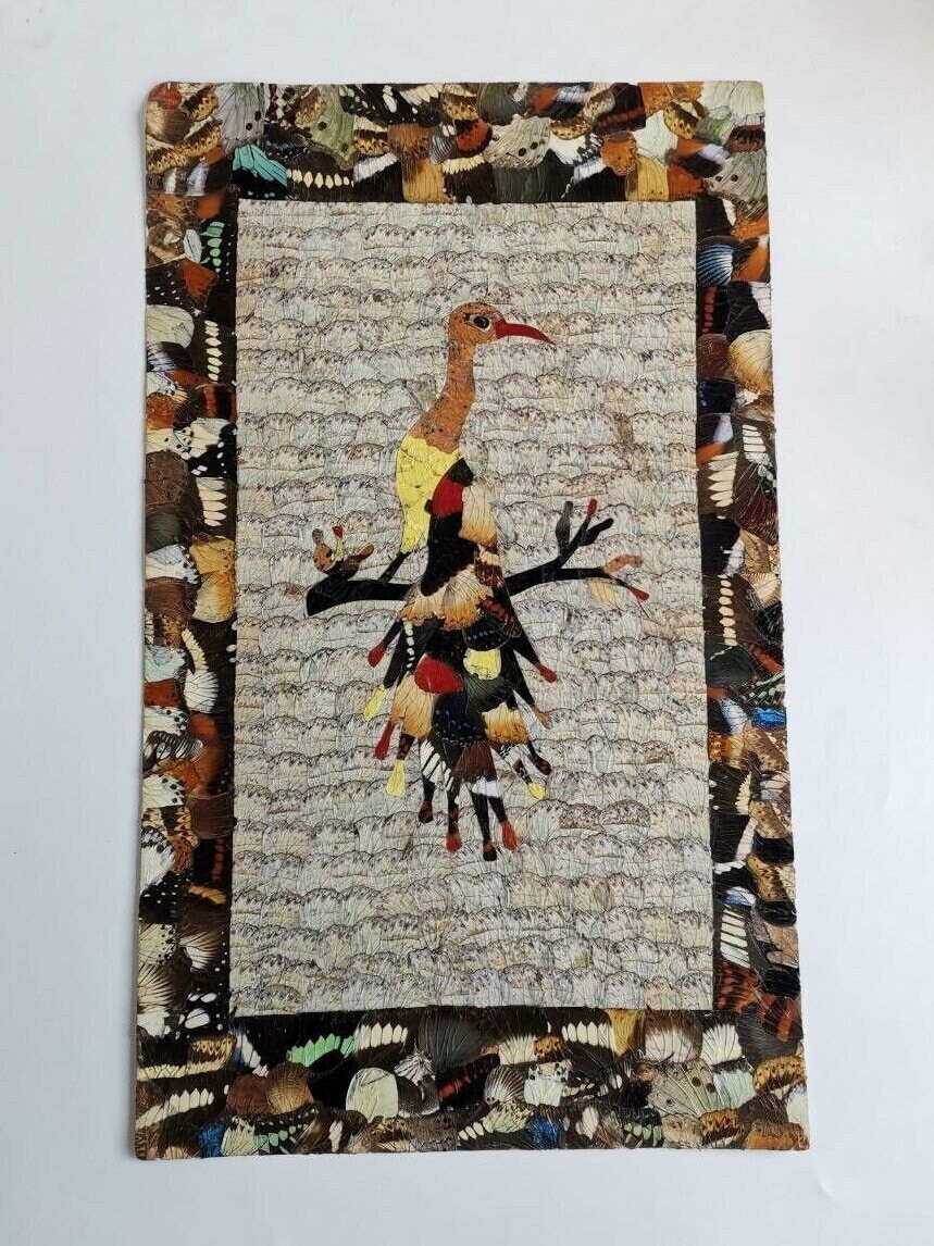 African Butterfly Wing Art - Etsy