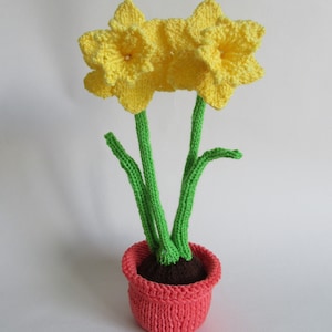Puede incluir: Una planta de narcisos de punto con flores amarillas y tallos verdes en una maceta rosa.
