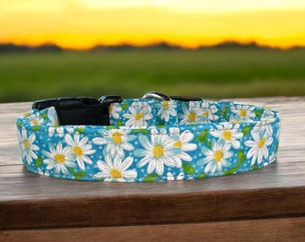 Teal Daisy Cotton Dog Collar - Comfortable, Durable, and Stylish - Sizes XS (teacup and Cat) through XXL (giant breeds)