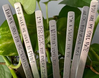 Just because gift succulent gift custom plant markers for indoor plants houseplant gift thinking of you gift anniversary gift missing you