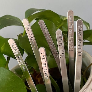 Funny plant pick plant tags customized garden puns garden gifts plant stakes for indoor plants  houseplant gift plant marker