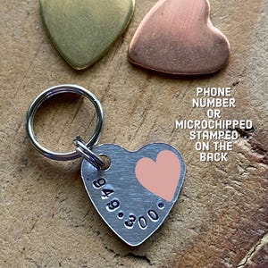 Pu&ograve; includere: Un'etichetta di identificazione per animali domestici a forma di cuore in argento con un cuore rosa e il numero "949.300" inciso su di essa. L'etichetta &egrave; attaccata a un portachiavi in argento. Il numero di telefono o le informazioni sul microchip possono essere stampate sul retro.