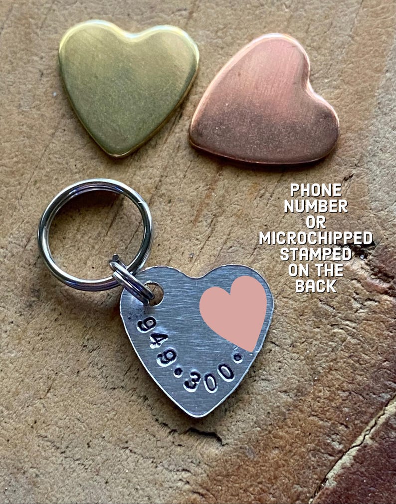 Pu&ograve; includere: Un'etichetta di identificazione per animali domestici a forma di cuore in argento con un cuore rosa e il numero "949.300" inciso su di essa. L'etichetta &egrave; attaccata a un portachiavi in argento. Il numero di telefono o le informazioni sul microchip possono essere stampate sul retro.