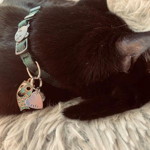 Pu&ograve; includere: Un gatto nero con un collare verde e argento e targhette. Le targhette sono un pesce e un cuore con il nome "PITA" inciso su di esso. Il gatto &egrave; sdraiato su una superficie bianca e soffice.