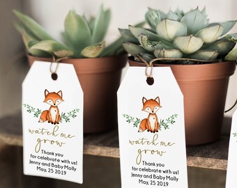 baby shower succulent tags