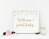 Light Blue And Gold Baby Shower Decorations Printable Welcome