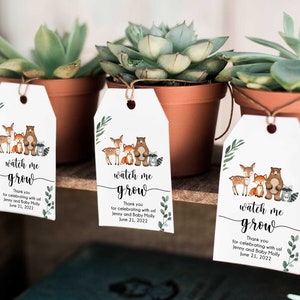 May include: Three small succulent plants in terracotta pots with white gift tags that say "watch me grow" with a woodland animal illustration and the text "Thank you for celebrating with us! Jenny and Baby Molly June 21, 2022".