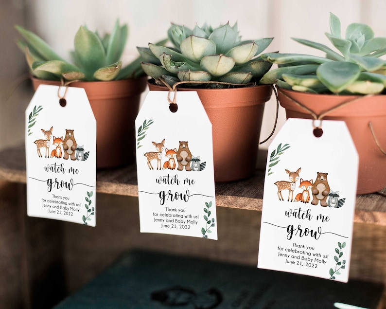 May include: Three small succulent plants in terracotta pots with white gift tags that say "watch me grow" with a woodland animal illustration and the text "Thank you for celebrating with us! Jenny and Baby Molly June 21, 2022".