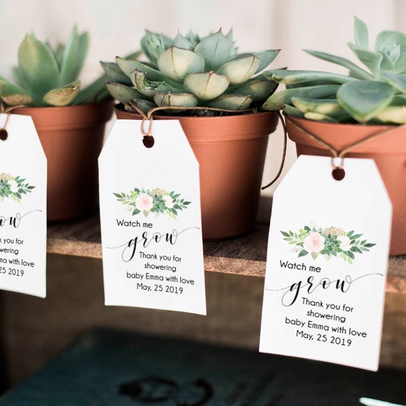 Watch me grow tags, succulent tags, baby shower favor tags, editable templett, instant download, baby shower thank you tags - GN3 Il_570xn