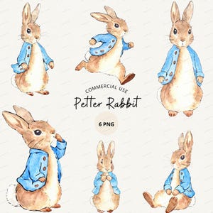 Puede incluir: Una colección de seis ilustraciones en acuarela de un conejo marrón con una chaqueta azul en varias poses. El texto en el centro dice Commercial Use Petter Rabbit 6 PNG. Los conejos están representados de pie, corriendo y sentados.