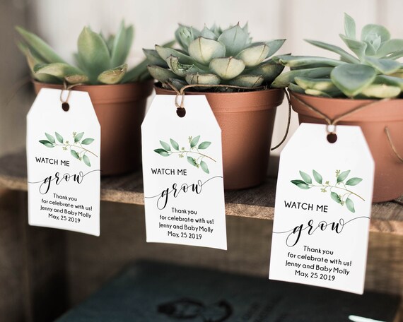 Succulent Tags Plant Favor Tag Baby Shower Decor, Edit with Jet Template and Print Today - GN1 Il_570xn