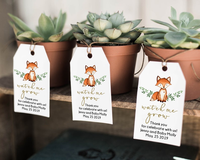 Succulent Favor Woodland Baby Shower Editable Template Fox Etsy