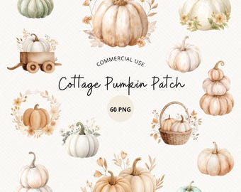 Paquete de calabazas en acuarela, imágenes prediseñadas de cosecha de otoño, calabazas otoñales neutras, calabaza estilo cottagecore PNG, uso comercial