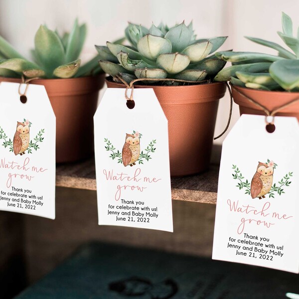 Owl Succulent Favor Tags, Owl Baby Girl Watch me Grow Tags, Instant Download, Owl Baby Shower Thank You Tags - WT1