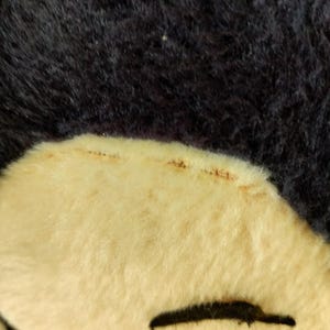K&ouml;nnte beinhalten: Nahaufnahme des Gesichts eines Pl&uuml;schtiers. Das Spielzeug hat ein cremefarbenes Gesicht mit schwarzen Augen und einem schwarzen Mund. Der obere Teil des Kopfes des Spielzeugs ist dunkelblaues, flauschiges Material.